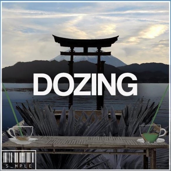 Pochette du beat Dozing