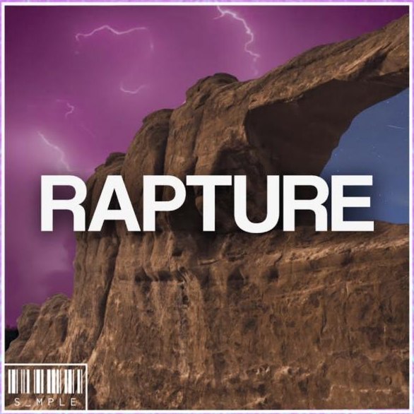 Pochette du beat Rapture