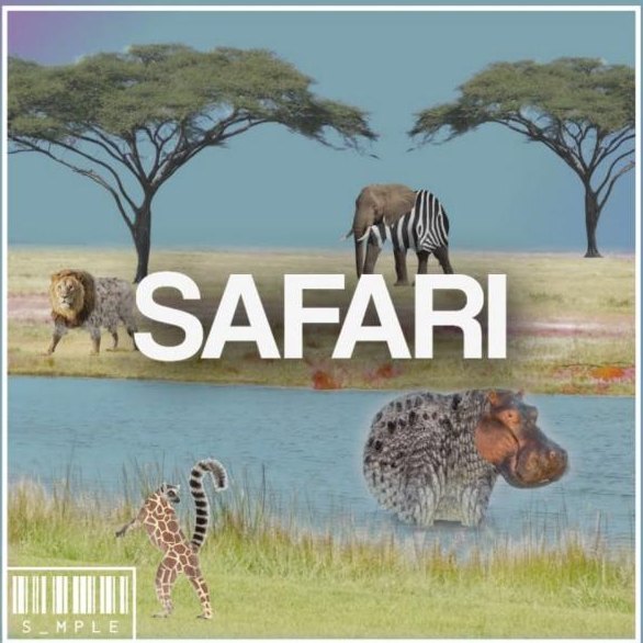Pochette du beat Safari